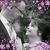 Trina McCollough's profile image