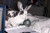 Ruthann R.'s profile image