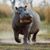 Mindi Harrell's profile image