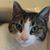 John Brannock's profile image