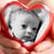 Rabab Tag's profile image