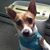 Audrey Zullo's profile image