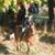 M Grace Emmell Leister's profile image
