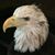 LaVonne Carlson's profile image