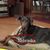 Charlotte Narjes's profile image