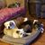 Sandy Henderson-Delozier's profile image