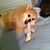 Connie Zales's profile image