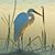 Pat Dunlap's profile image