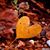 Wendy Burke's profile image