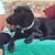 Sarah Ringstrom Foley's profile image