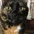 Gina Ewing's profile image