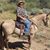 Cathy Franklin's profile image