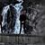 David Z Doda's profile image
