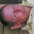 Michael Bursavich's profile image
