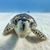 Sheryl Burruss's profile image