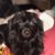 Flor Diaz's profile image