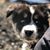 Stephen De San Jose's profile image