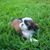 Vonnie Schmitt's profile image