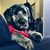 Christine Winscott's profile image