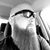 Matt Whitmire's profile image