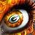Molly Jensen's profile image