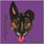 Jessica Armistead's profile image