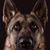 Marianne Bennett's profile image