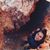 Teri Burnett's profile image