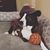 Court Corley-Gonzalez's profile image