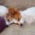 Mary Weidman's profile image