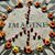 Janice Felsher's profile image