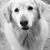 Nicole Matthews-Egdorf's profile image
