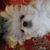 Jeananne Nelson's profile image