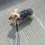Leslie Mahoney Shelton's profile image