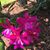 Diane Marble's profile image