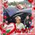 Tracey Fayerweather Shannon's profile image