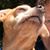 Kathy Provence's profile image