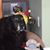 Sue MacDonald Nash's profile image