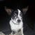Sheila Gaye Pentecost Jones's profile image