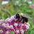 Sheryl L. Feldkamp's profile image