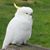 Judy G's profile image
