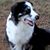 Carla Thrasher's profile image
