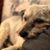 David Hutchison's profile image