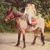 Cymbeline Smith's profile image