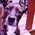 Maria DiMartino's profile image