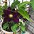 Debbie Blackburn Russ Helmbrecht's profile image