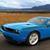 Melissa M Bissell's profile image