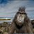 Steve Hankins's profile image