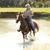 Denise Sistarelli's profile image