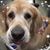 Arianne Daume's profile image